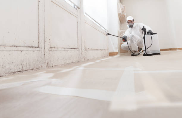 24/7 Emergency Attic Mold Removal experts in Wakefield, VA